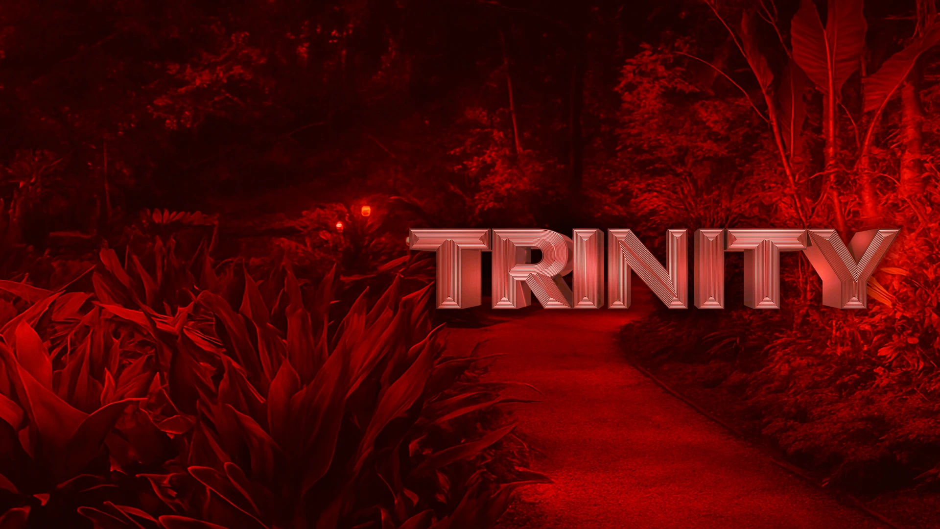 "Как три жени работят успешно заедно?"